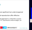 Sexual Dysfunction and Its Impact on Fertility - Insights from the 26th SMSNA Annual Fall Scientific Meeting
